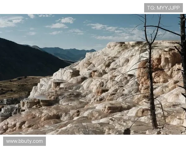 巴拉纳直播:探索南美自然奇观的视觉盛宴 巴拉纳直播:探索南美自然奇观的视觉盛宴